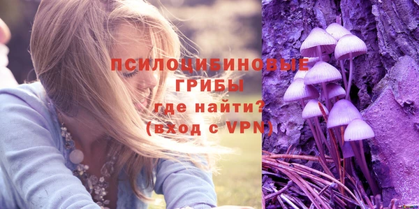 ALPHA PVP Аркадак