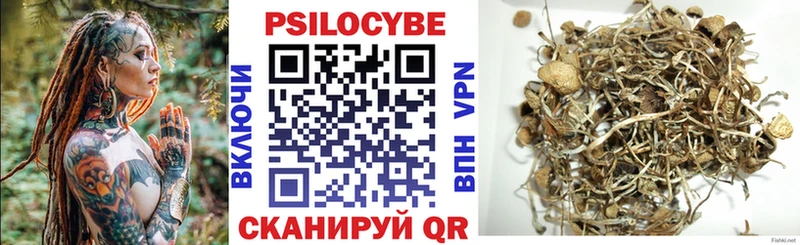 дарк нет какой сайт  Выборг  Псилоцибиновые грибы GOLDEN TEACHER 
